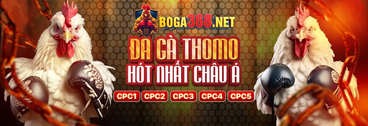 Sân đấu đá gà trực tuyến rich88 win
