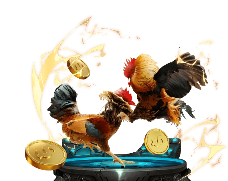 Cam kết của RICH88 WIN